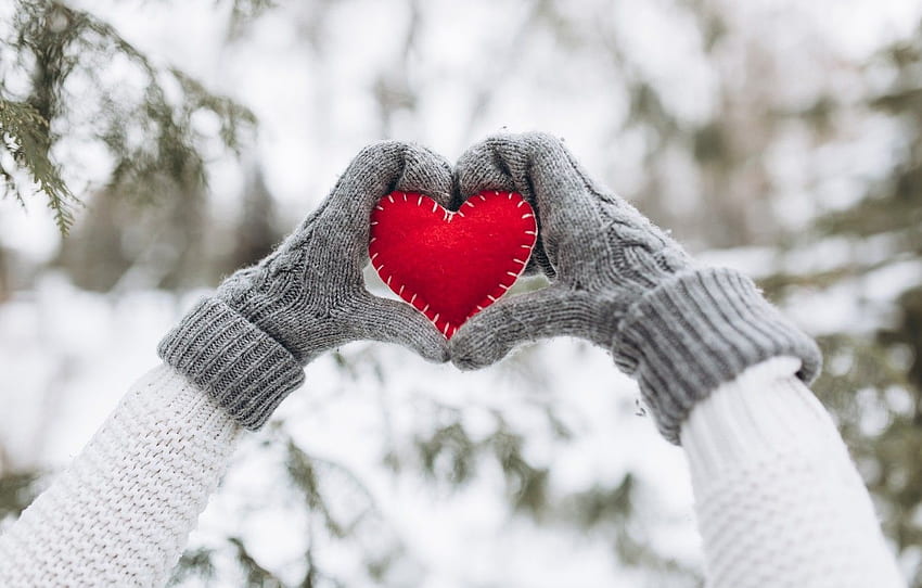 kış, kar, aşk, kalp, ağaç, kırmızı, aşk, kalp, kış, eldivenler, kar, romantik, eller, sevgililer günü, köknar ağacı için , bölüm настроения HD duvar kağıdı