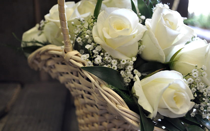 Sekeranjang mawar putih yang indah, keranjang, pernikahan, mawar putih, bunga, pengantin, kecantikan Wallpaper HD