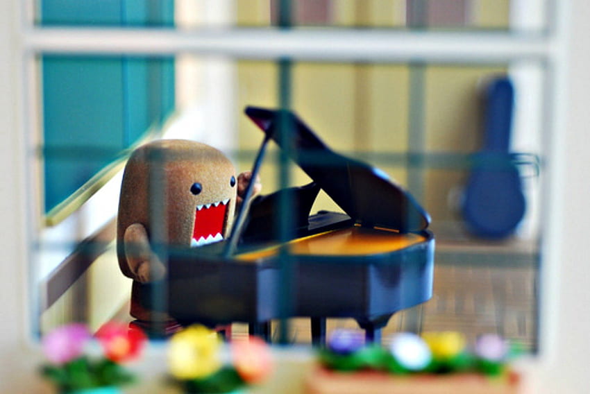 Domo ( Piano ), domo, piano, playing piano, mini piano, cute HD wallpaper