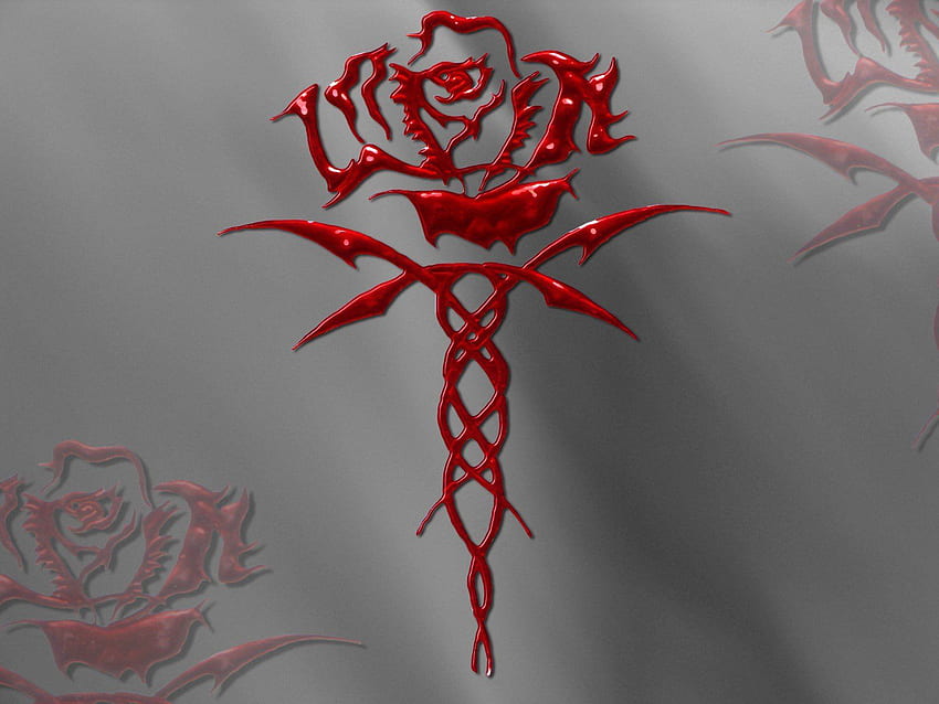 bleeding rose drawing