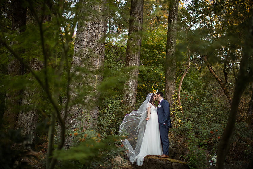 Best Napa wedding, elopement graphy in Napa, Sonoma, Nature Wedding HD wallpaper