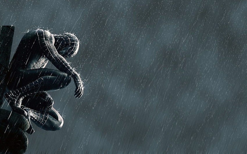 Spiderman-Netz Schöner Spider-Man-Hintergrund, Spider-Man-Netz HD-Hintergrundbild