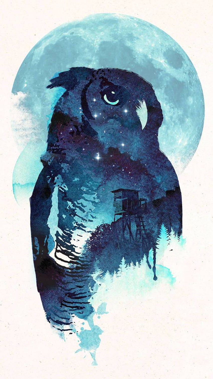 Midnight Owl, Blue Owl HD phone wallpaper