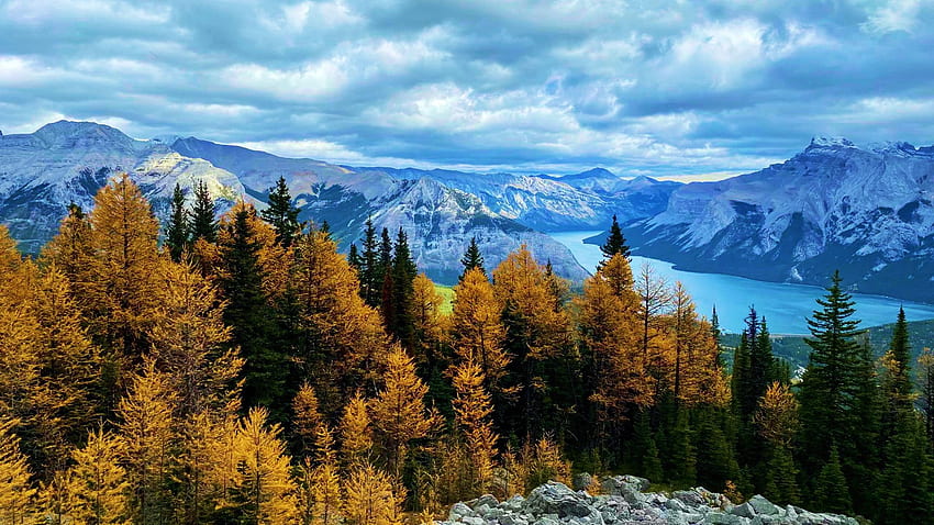 バンフ国立公園、秋、雲、木、色、空、アルバータ州、山、湖、カナダ 高画質の壁紙