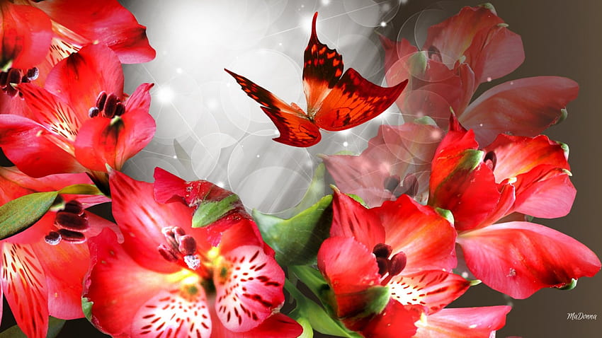 Blooms Butterfly Bright, лято, боке, пеперуда, блясък, ярко, червено, пролет, лилии HD тапет
