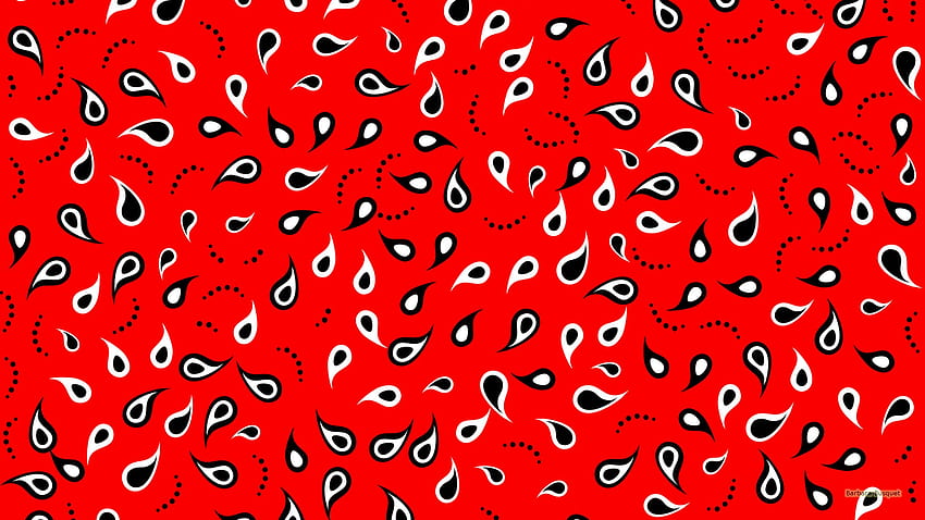 Red color - Barbara's, Red Paisley HD wallpaper
