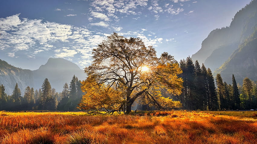 ヨセミテ国立公園、カリフォルニア州、葉、山、秋、風景、秋、木、色、アメリカ 高画質の壁紙