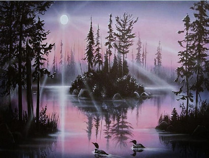 Loon malam, berenang, sinar bulan, pohon, langit berwarna, loon, danau, malam Wallpaper HD