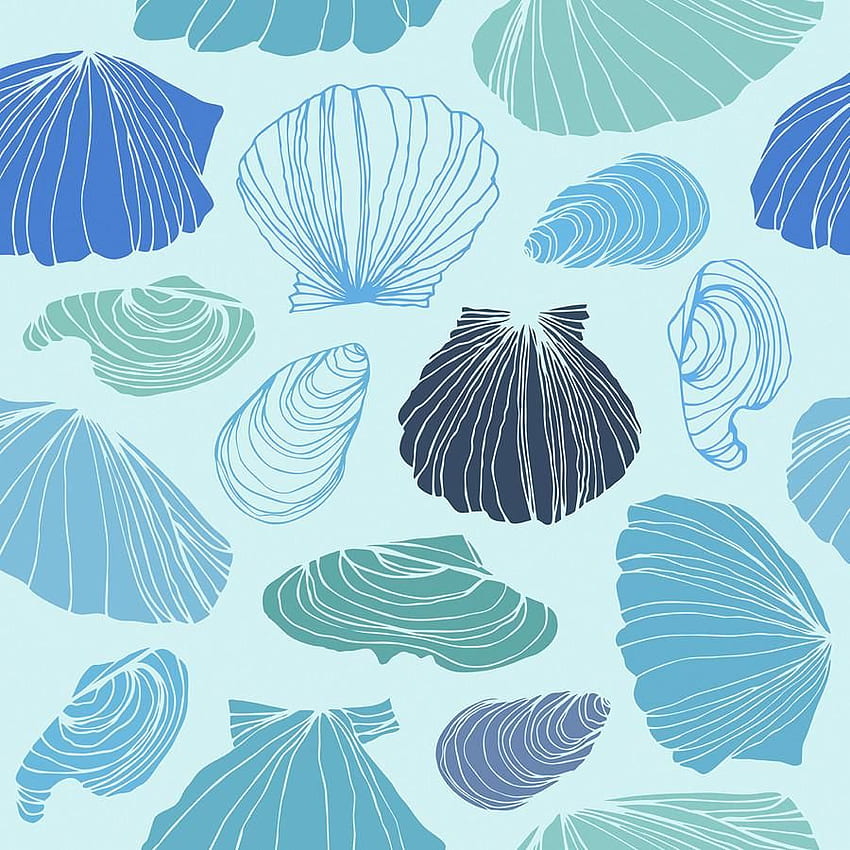 Turquoise Shells Removable, Seashells HD phone wallpaper