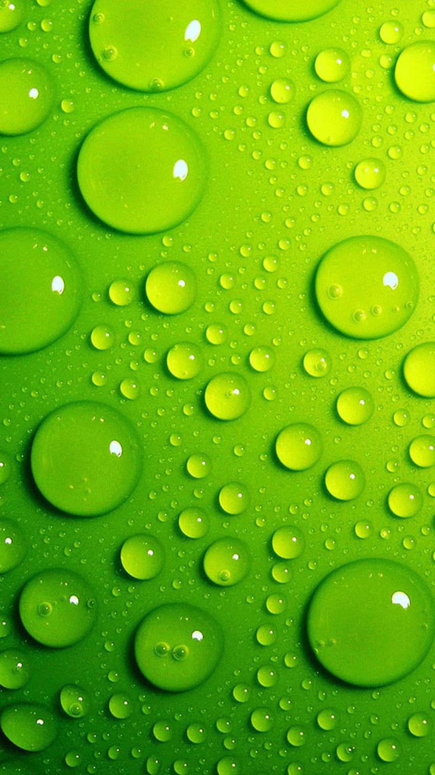 Green iPhone 6 HD phone wallpaper