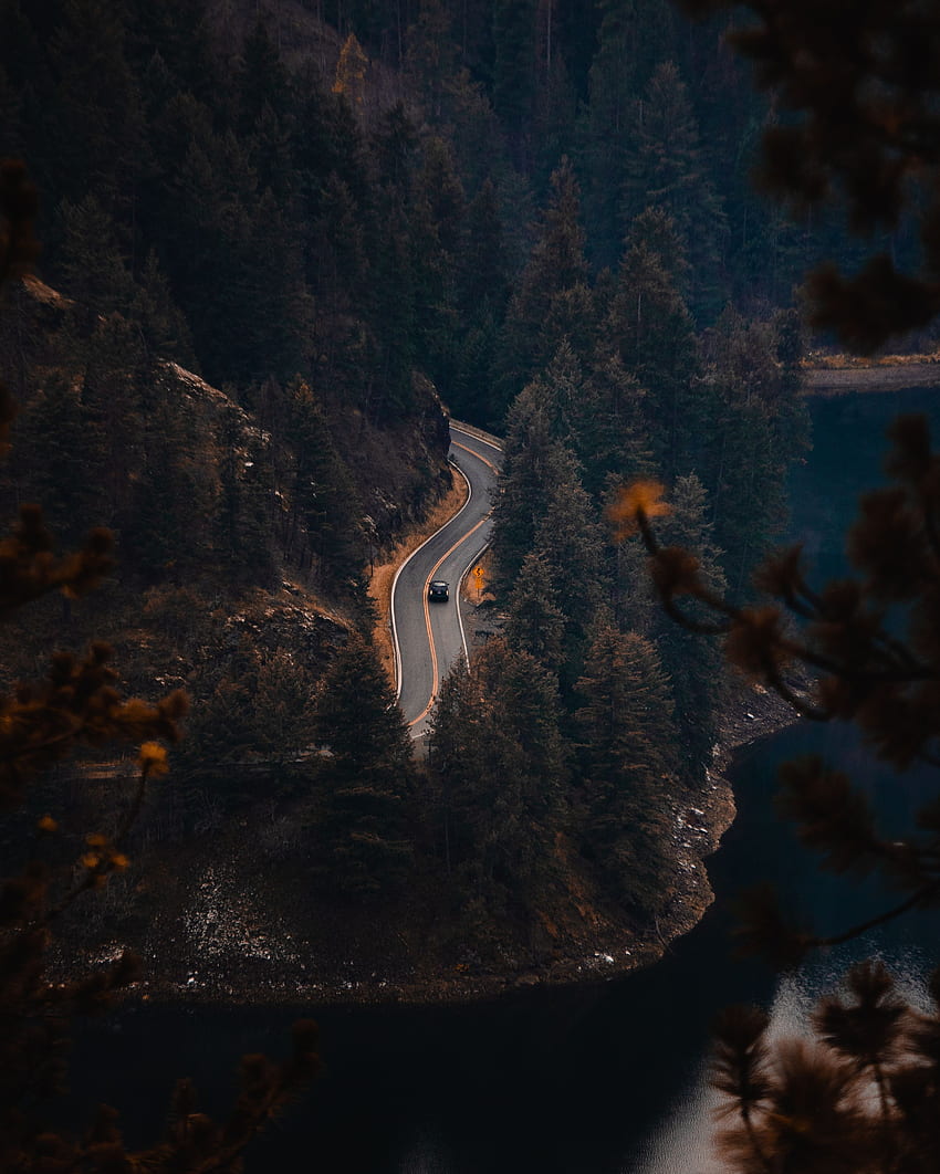 Nature, Rivers, Trees, View From Above, Road HD phone wallpaper