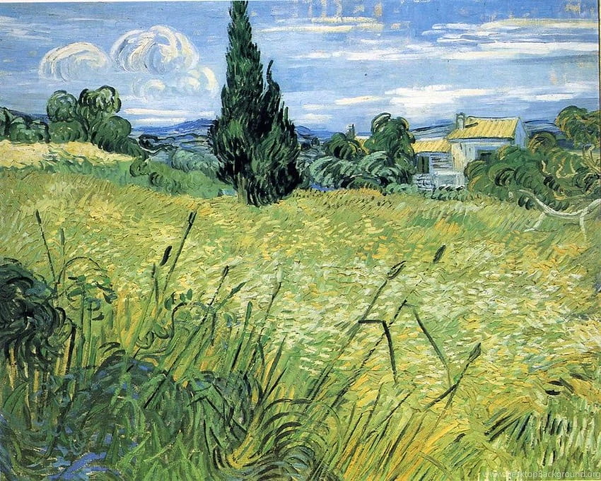 Wheatfield With Cypress 2 Post Impressionist Vincent Van Gogh HD wallpaper