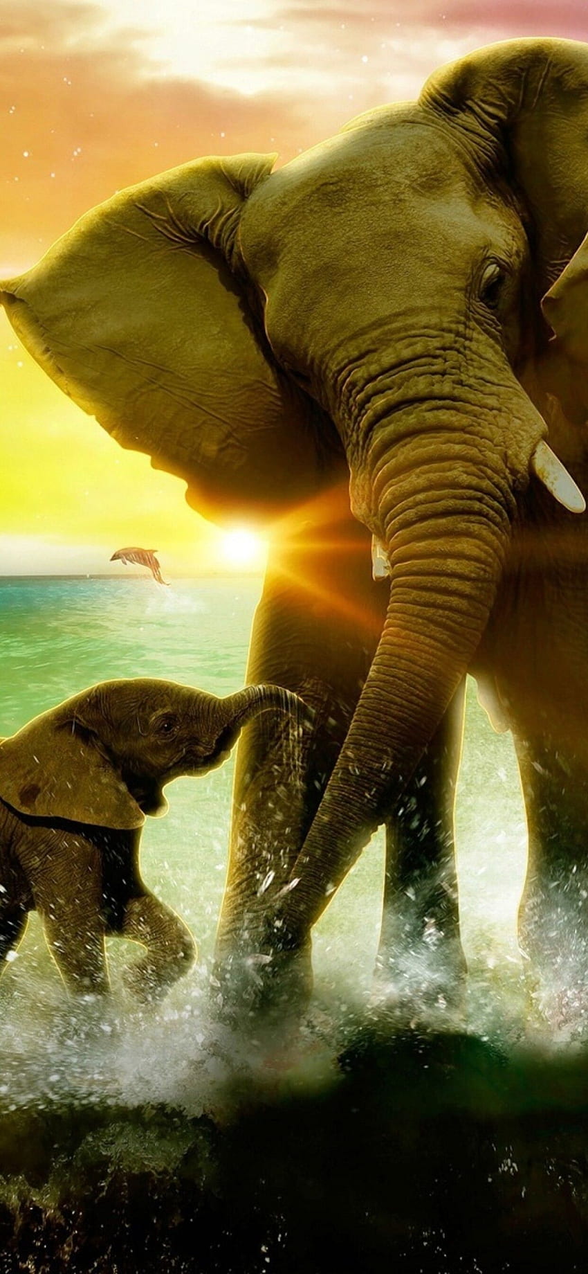 Hermoso amor entre madre e hijo elefante fondo de pantalla del teléfono