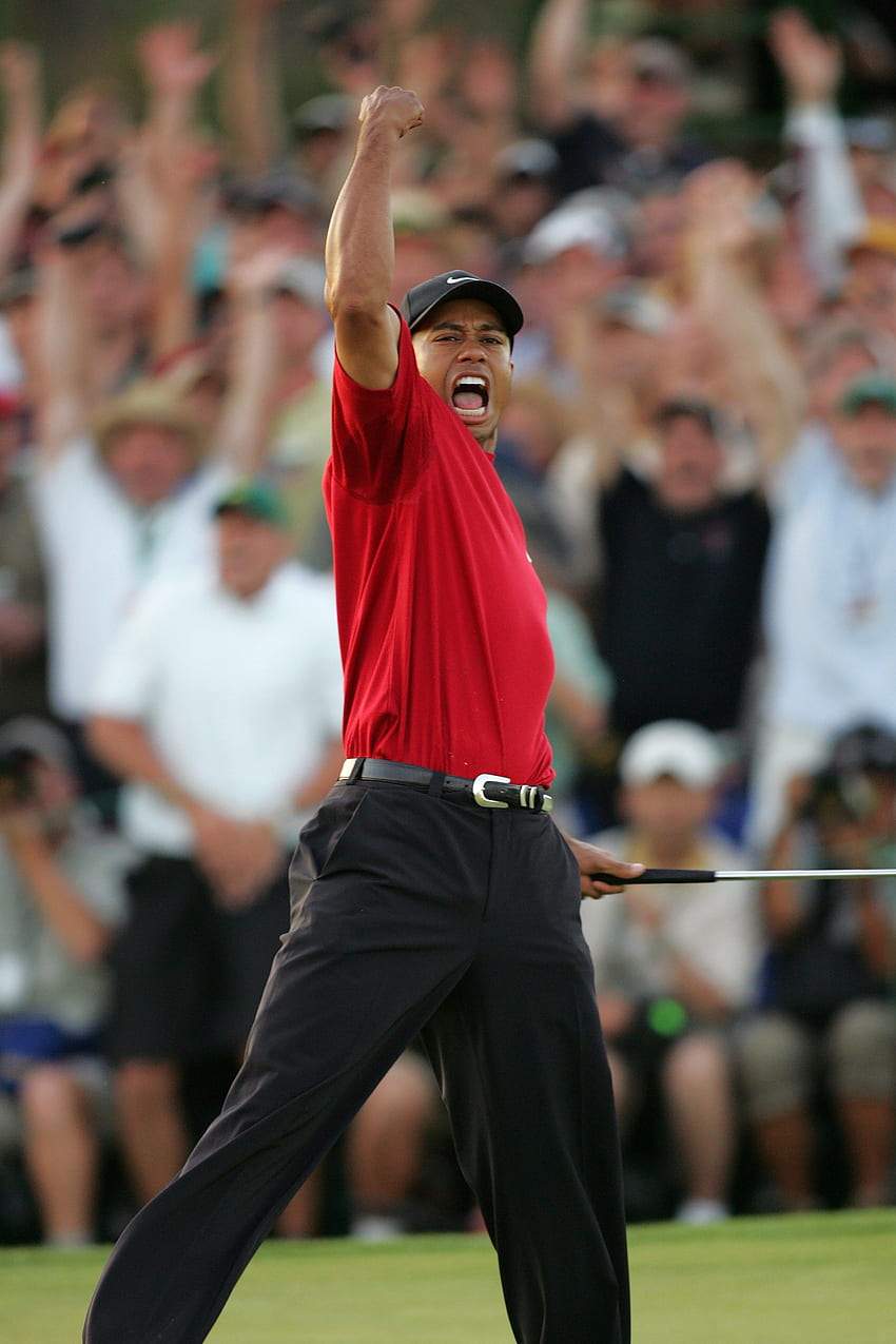 Tiger Woods iPhone, Maestri di Tiger Woods Sfondo del telefono HD