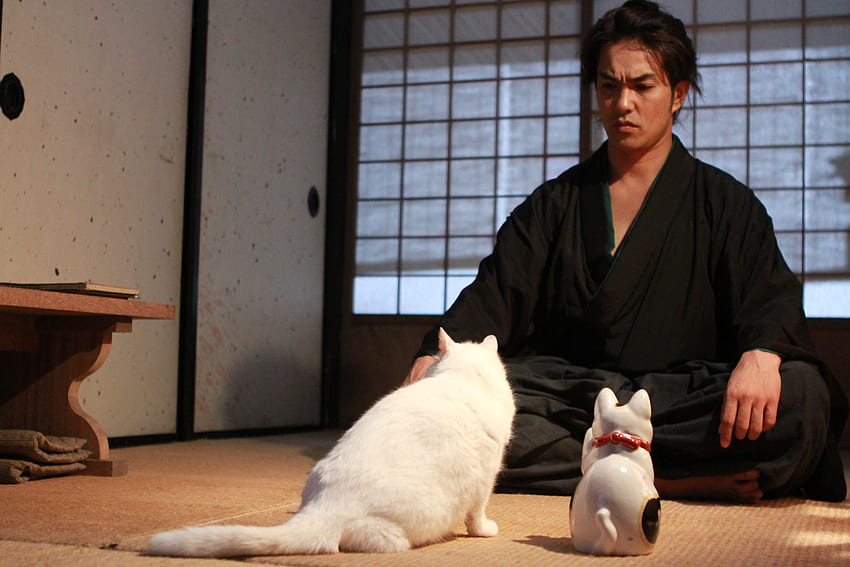 TV Draması Neko Samurai: Sezon 1｜SALES｜NIKKATSU CORPORATION HD duvar kağıdı