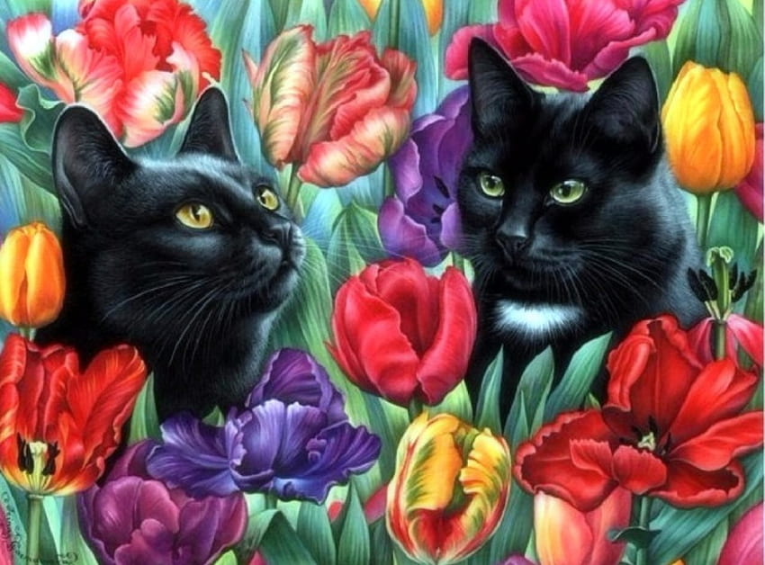 Among the Tulips, black cats, attractions in dreams, cats, garden, cute, paintings, tulips, spring, love four seasons, animals, draw and paint HD wallpaper