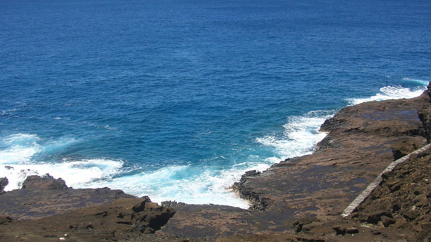 ハナウマ湾の海岸線、ハナウマ、海岸線、ハワイ、湾、オアフ島、海、ビーチ 高画質の壁紙