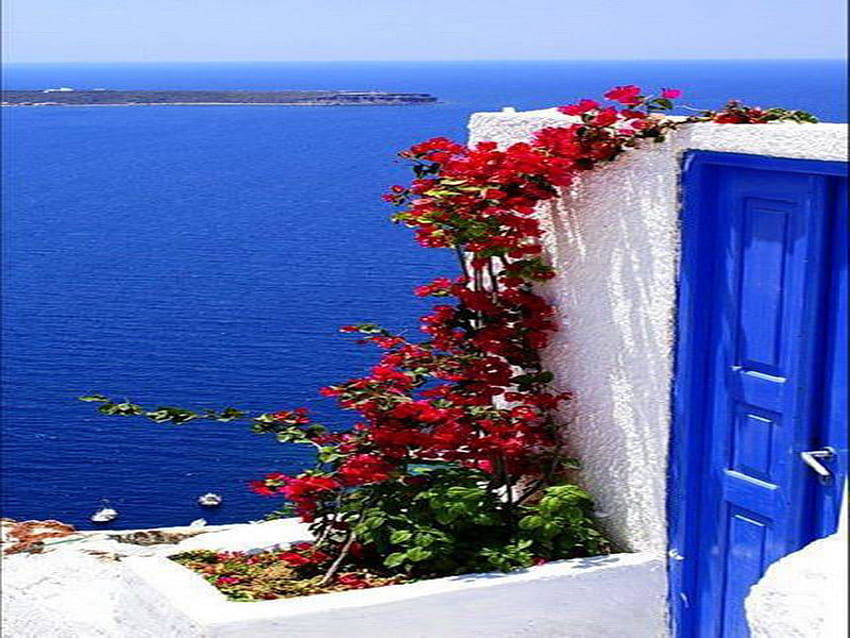 サントリーニ、ビュー、島、赤、花 高画質の壁紙