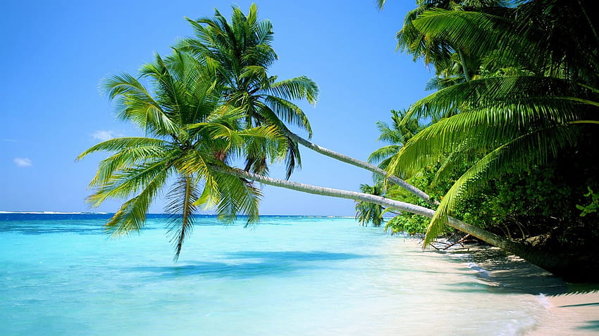Piękna plaża Najpiękniejsze miejsca na świecie [] na Twój telefon komórkowy i tablet. Poznaj najpiękniejsze plaże świata. Najpiękniejszy ocean, większość, malownicza plaża Tapeta HD