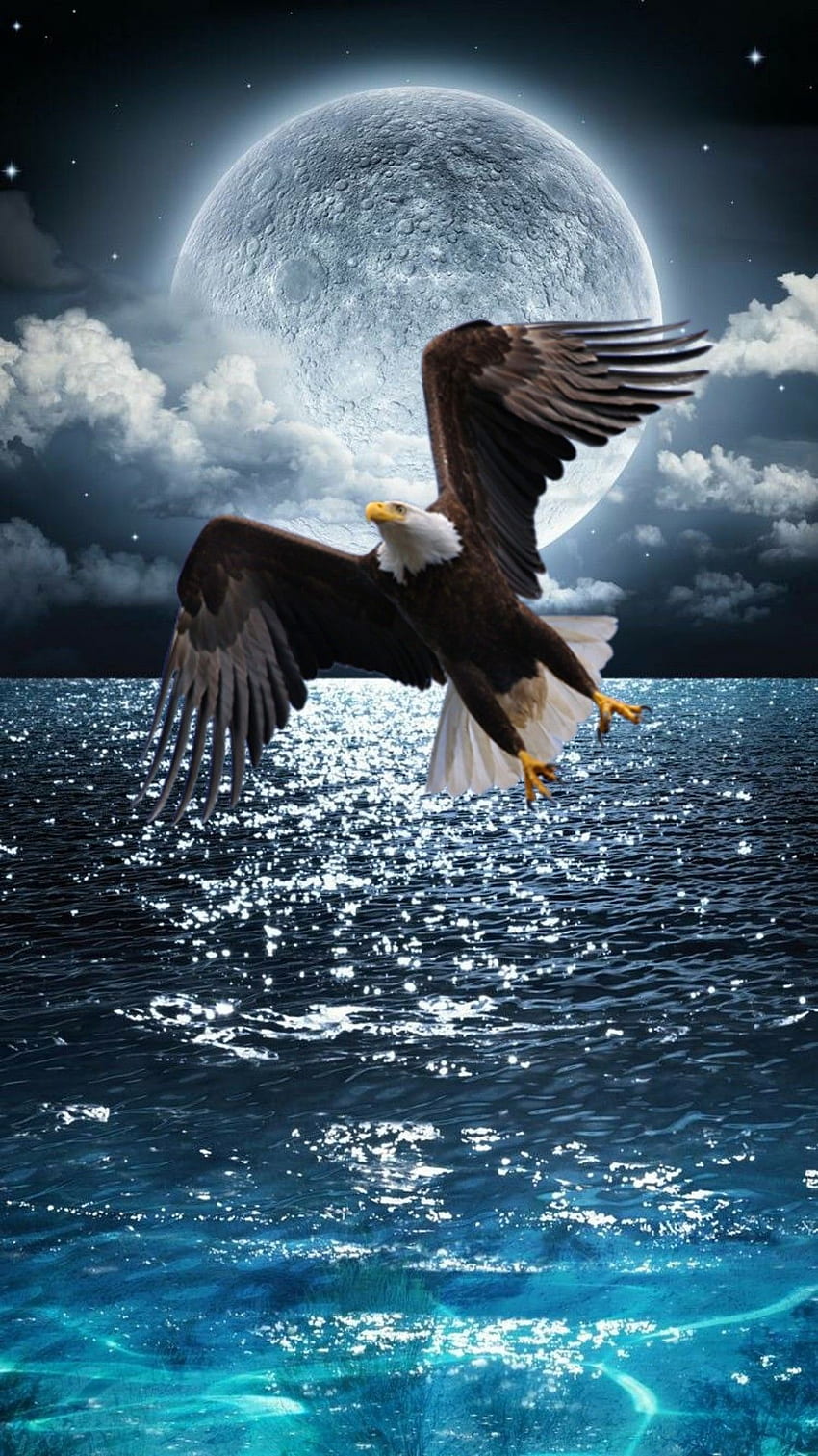 Fliegender Adler bei Vollmond. Adler, Adler, hübsche Natur, fliegender Adler HD-Handy-Hintergrundbild