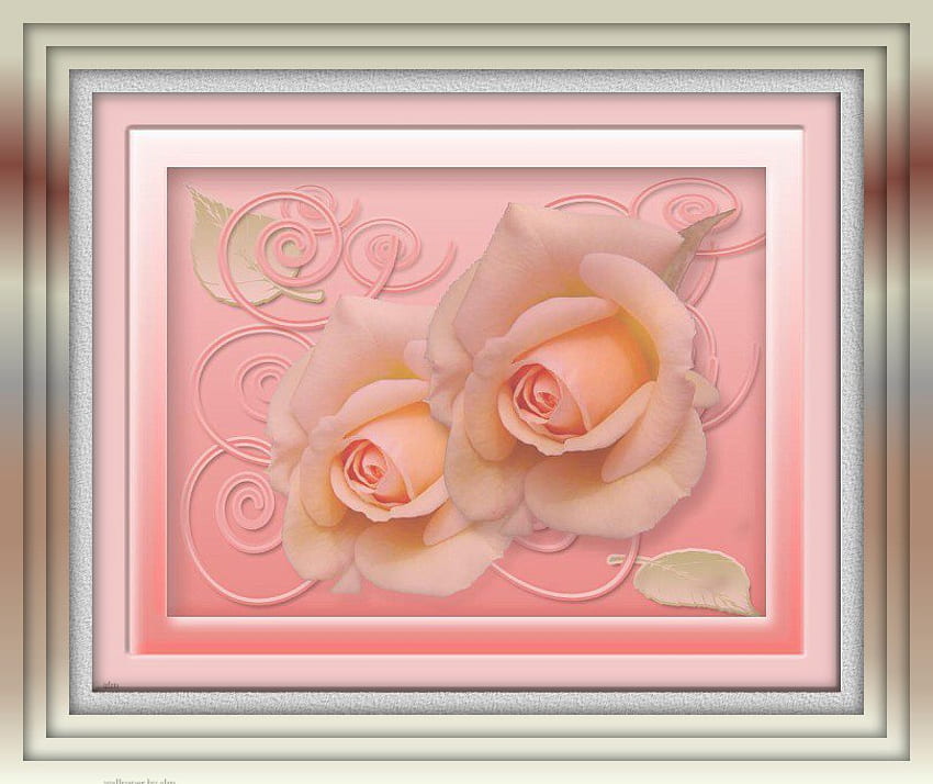 soft, soft pastel flowers for my love, valentine, pink, roses, framed, soft, victorian HD wallpaper