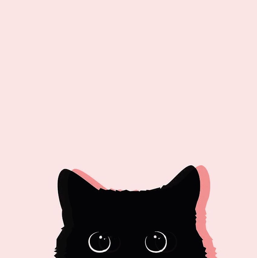 Różowy kot, piękne czarne koty Tapeta na telefon HD