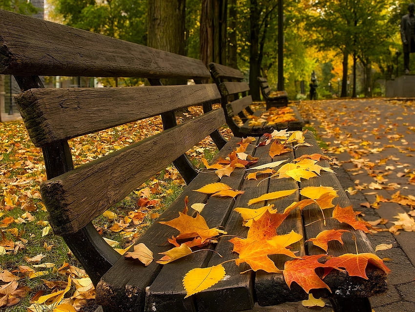 Landscape, Autumn, Leaves HD wallpaper