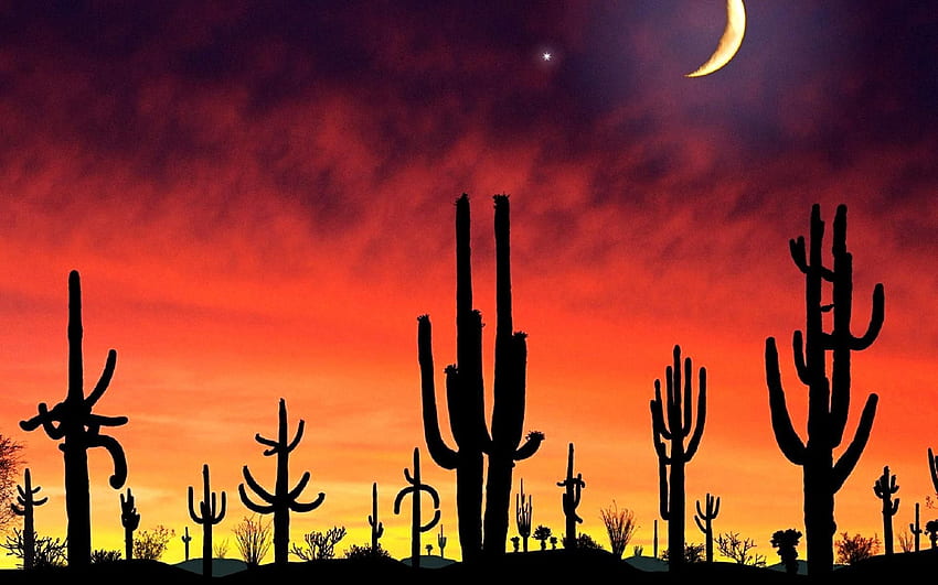 Desert Sunset Cactus Orange Color Gold Red Moon Crescent - Resolution: HD wallpaper
