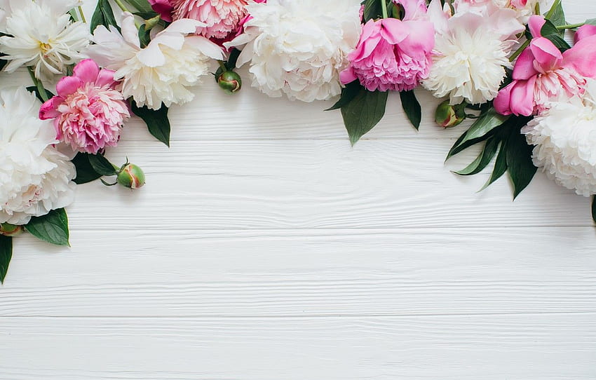 Pink And White, Pink and White Floral HD wallpaper | Pxfuel