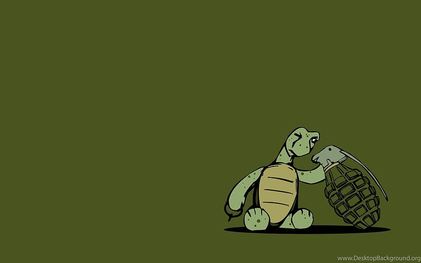 Lustiger Schildkröten-Hintergrund HD-Hintergrundbild