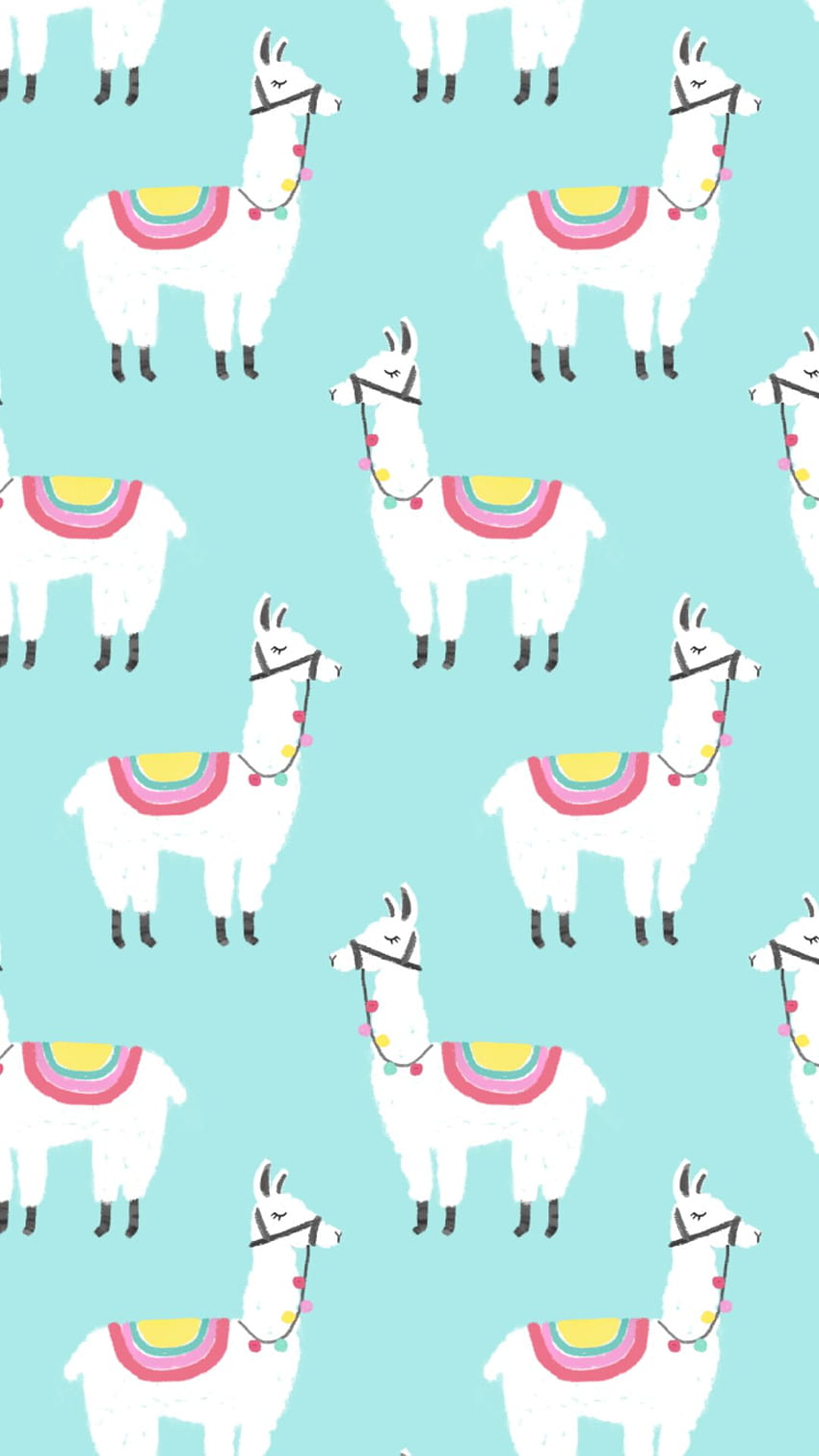 Llama HD Wallpapers  Top Free Llama HD Backgrounds  WallpaperAccess