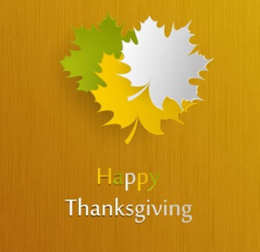 สุขสันต์วันขอบคุณพระเจ้า คำอวยพร ใบไม้ วันขอบคุณพระเจ้า พฤศจิกายน วอลล์เปเปอร์ HD