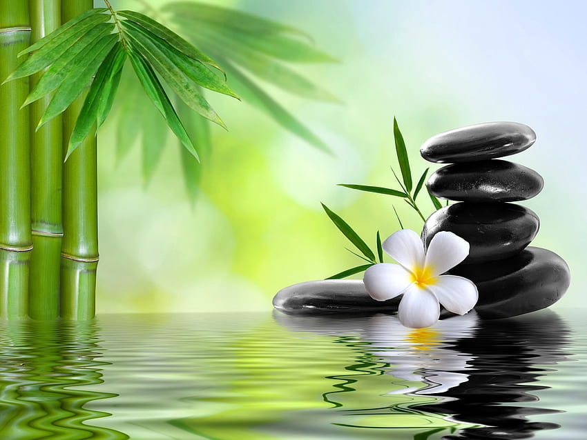 spa spa stones flower bamboo water [] for your , Mobile & Tablet. Explore Spa . Salon , Spa, Spa Flowers HD wallpaper