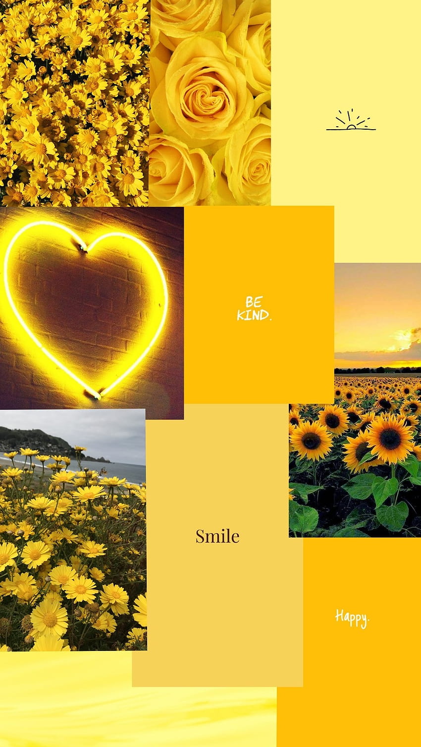 Yellow aesthetic, Quotes, Flowers, Sun, Pale HD phone wallpaper | Pxfuel
