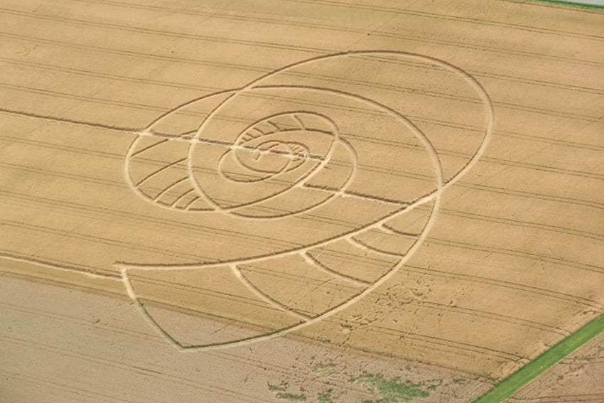 Background - crop circles. Cool for me! HD wallpaper