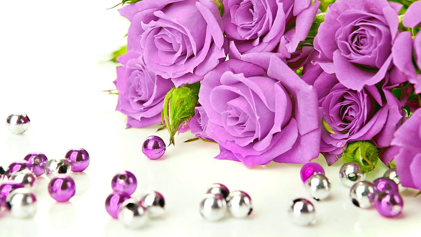 あなたの、モバイル＆タブレットのための美しいパープルローズパールローズフラワーローズ[]。 美しい紫色のバラを探る。 紫の蘭、紫と白のバラ 高画質の壁紙