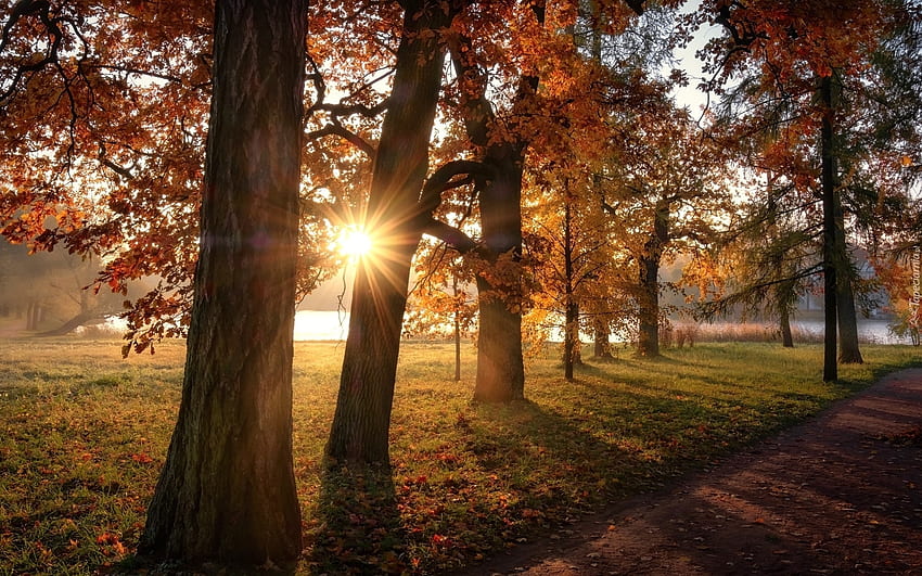 Autumn Park, path, trees, autumn, sunbeams, park HD wallpaper
