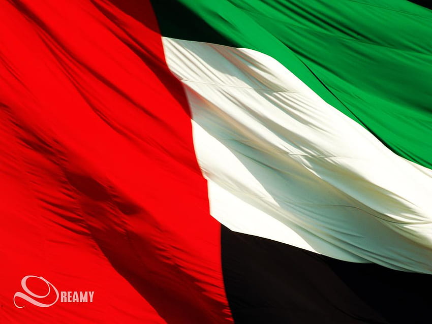 Dubai Flag HD wallpaper | Pxfuel