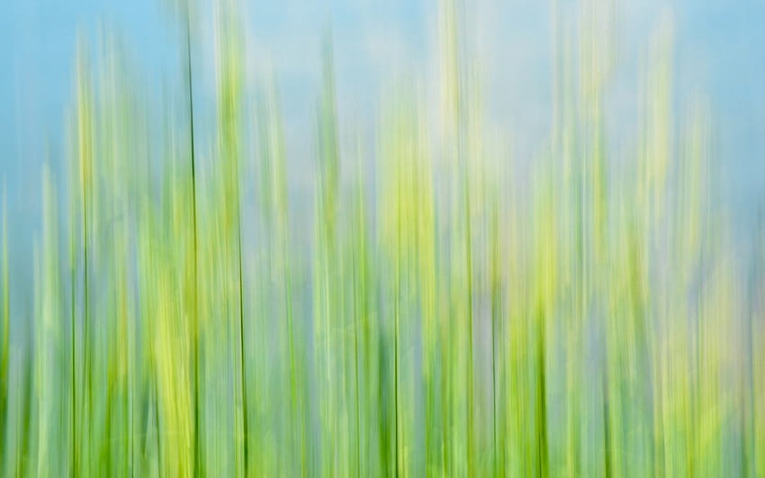 Grass Macro Blur Smooth Hd Wallpaper Pxfuel