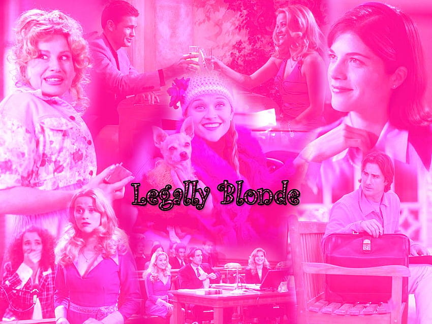 Legally Blonde - Legally Blonde HD wallpaper