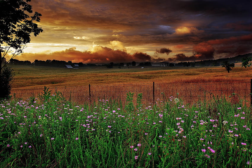 Wv Heavenly Sunset Farm Scene. The Sky. Nature, Country Farm Scene HD wallpaper