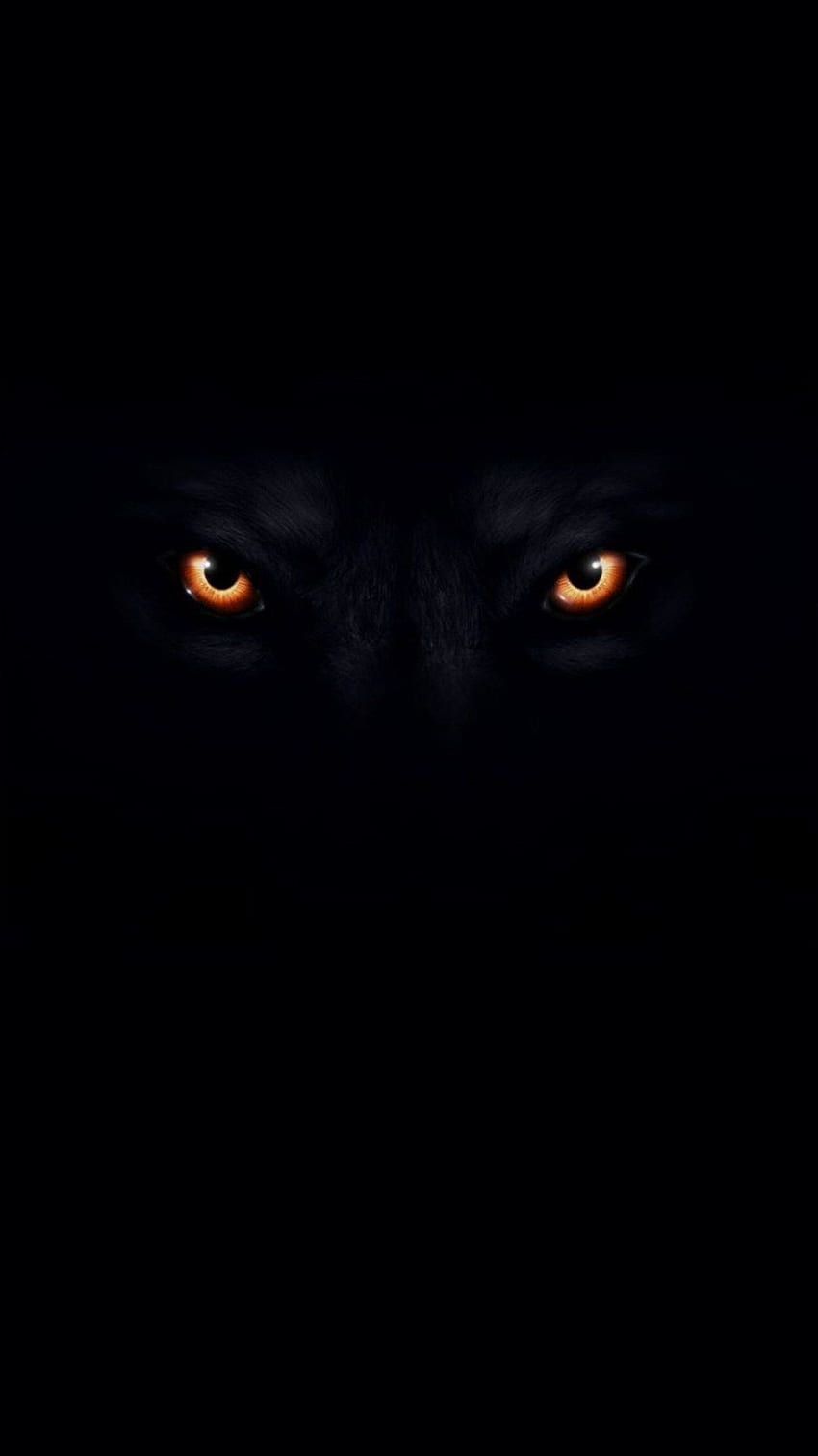 Wolfsaugen 1080X1920. Schwarz, Wolf, Wolfsaugen, Schwarzer Wolf mit roten Augen HD-Handy-Hintergrundbild