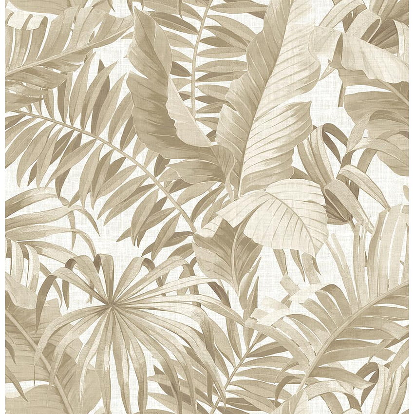 A Street Alfresco Black Palm Leaf Paper Strippable Roll (capas 56,4 pés quadrados) 2744 24134 The Home Depot, folhas de palmeira douradas Papel de parede de celular HD