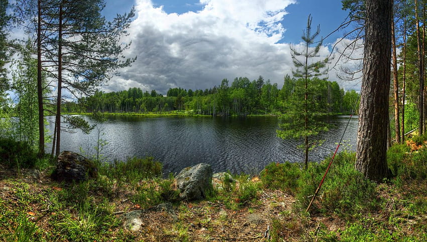 Russia Lake Forests Stones Trunk tree island Kilpola Lake Ladoga Karelia Nature ., Russian Nature HD wallpaper