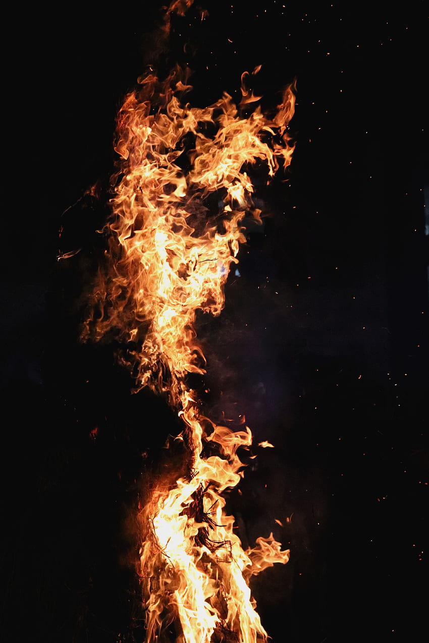 Fire, Bonfire, Dark, Flame, Dark Background HD phone wallpaper
