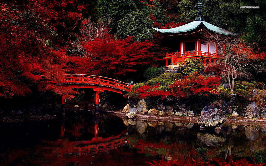Orientalischer Garten, asiatischer Garten HD-Hintergrundbild