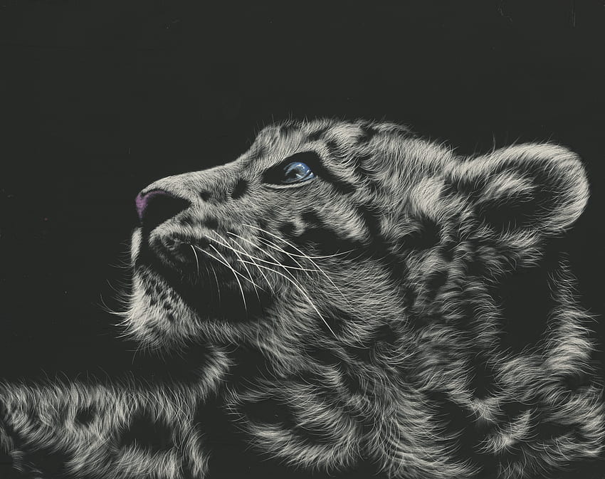 Schneeleopard, Tier, weiß, schwarz, Kunst, bw, Katze, Pisica, Luminos HD-Hintergrundbild