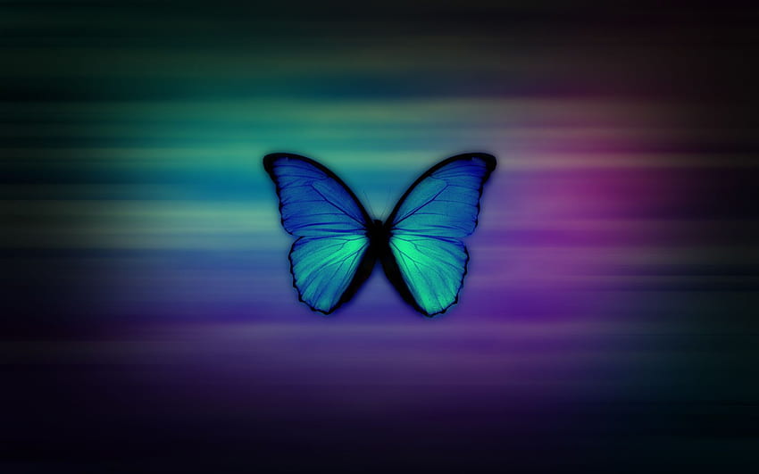 Papillon morpho bleu, Butterfly Blue Abstract Fond d'écran HD