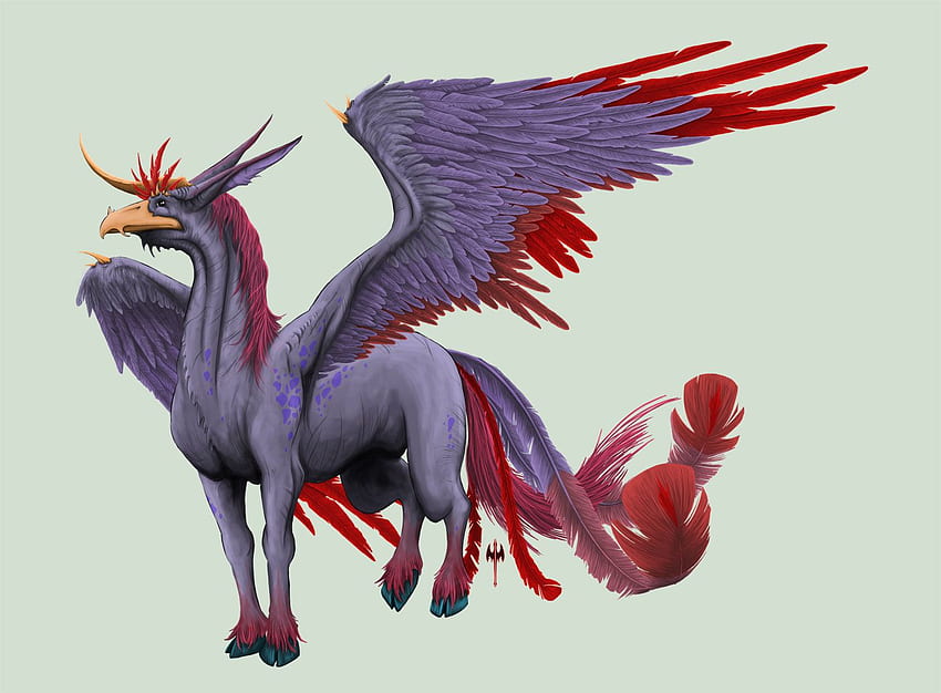 Hippogryph . Hippogryph, Hippogriff HD wallpaper | Pxfuel