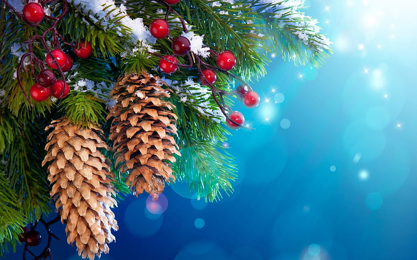 Holidays, Background, Cones, New Year HD wallpaper